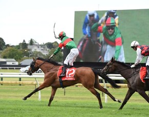 Asterix delivers Derby double for O&rsquo;Sullivan and Scott