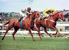 Wexford Way Back: Waverley Star arrives at Wexford