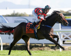 Feature double on Dragon Leap’s radar