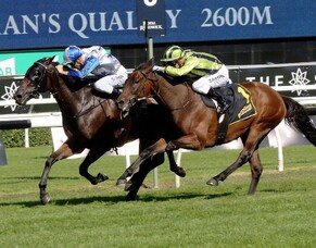 Wexford team building with Sydney ambitions