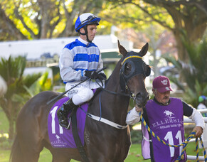 Taupo Runners - 20/9