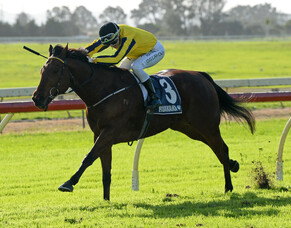 Reptak too speedy at Ruakaka