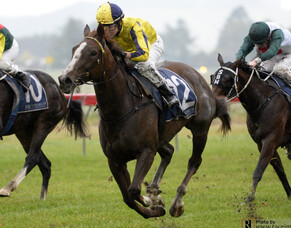 Te Rapa Runners - 6/9