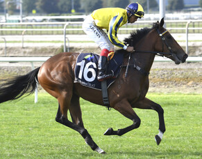 Arawa Park Runners - 26/6