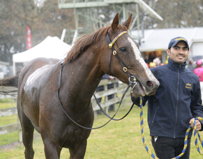 One Maddison wins on debut
