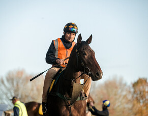 Tauranga Runners - 25/10