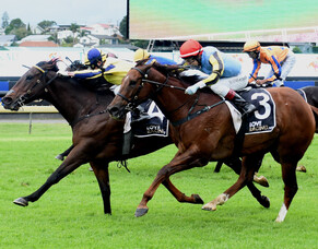 Princess Rihanna back to her best at Ellerslie