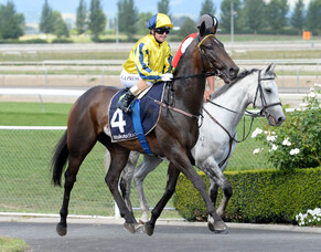 Randwick &amp; Ellerslie Runners - 7/9