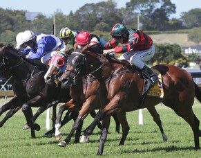 Rocket Spade cements Derby claims with Avondale Guineas victory