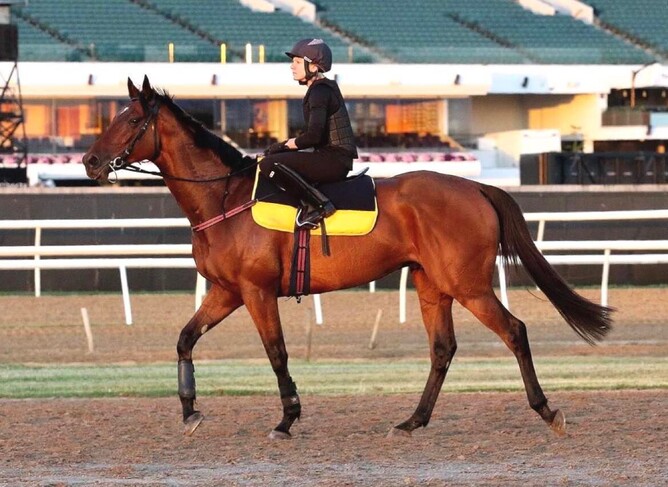 'Charlie' and Lee-Ann during his Australian campaign.