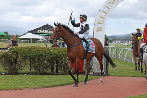 Lux Libertas wins Gr.2 Manawatu Challenge