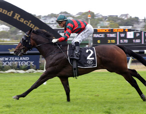 O&#039;Sullivan looking forward to Dragon taking Leap