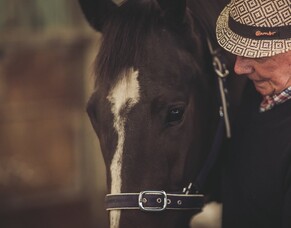 Wexford Way Back: Dave&#039;s first racedays as a trainer