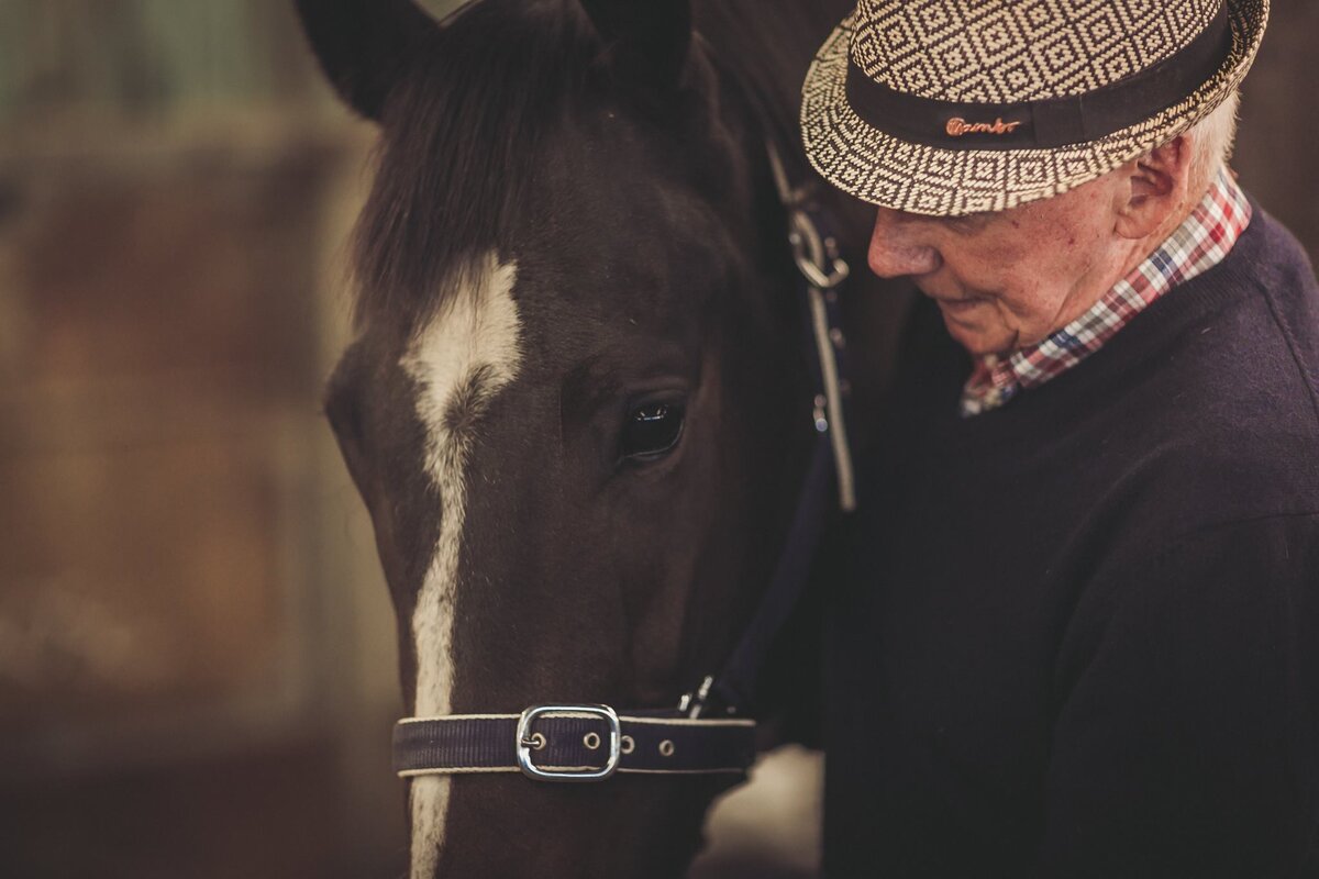 Wexford Stables Wexford Way Back Dave's first racedays as a trainer