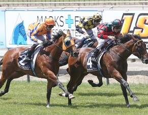 Summer Passage to stand at Mapperley Stud