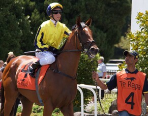 Taupo Runners - 8/10