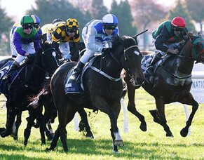 No winter hibernation for Sleeping Beauty