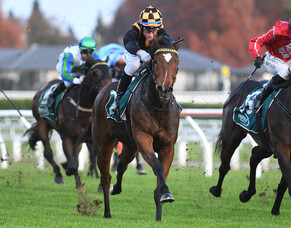 Little Bit Of Love chasing four-straight at Pukekohe