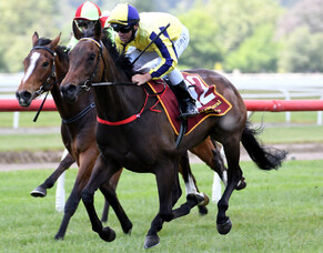 Group One spoils on the line