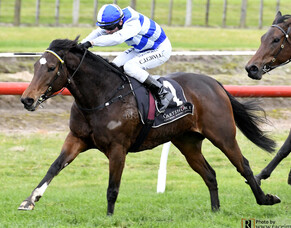 Broodmare&rsquo;s unretirement works wonders for Pencarrow