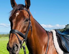 Life After Racing- Charles Road