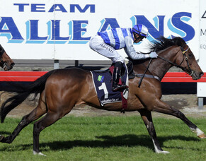 Wexford Targeting Rotorua Features