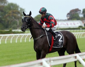 Asano quickly off the mark in northern stint