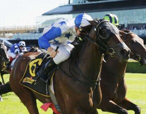 St Leger to dictate Sir Charles Road&#039;s spring