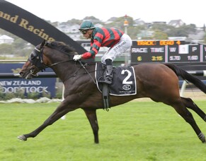 Dragon to Leap Lance into Derby History