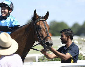 Matamata Runners - 7/1/2020