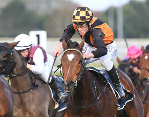 Little Bit Of Love completes Wexford&rsquo;s trans-Tasman double