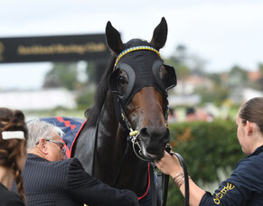 Dragon Leap bounces through fresh up assignment