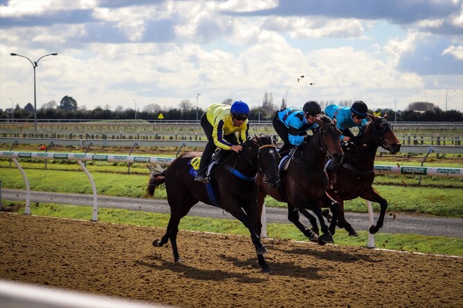 Clairiere, photographed at the Cambridge trials by Lauren.