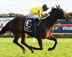 Wexford End Season on Winning Note