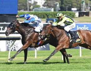 Sir Charles Road racing at Randwick today