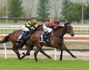 Summer Passage: From Retirement to Winner's Stall