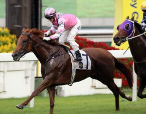 Wexford Graduates Shine at Sha Tin