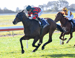 Dragon Leap locks in Foxbridge Plate