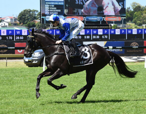 Dark Destroyer ready to kick off Queensland campaign