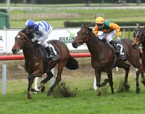 Sleeping Beauty takes out Tauranga Classic