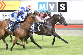 Randwick and Arawa Park Runners, 19/10