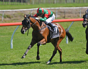 Australia calling Te Rapa Group One contenders