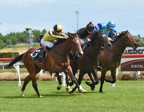 Derby planning continues at Te Rapa for O’Sullivan and Scott