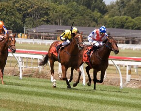 Ellerslie Runners - 15/12