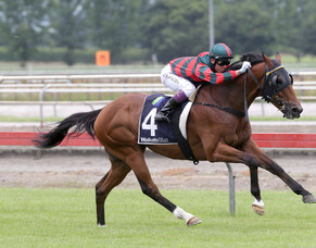 Ellerslie Runners - 30/11