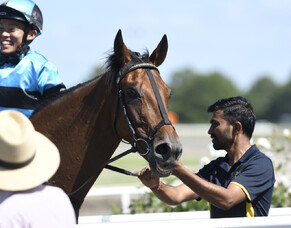 Te Rapa Runners - 28/10