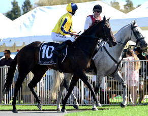 Ask Mum Produces Hat Trick