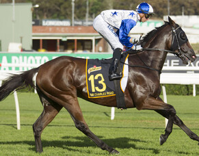 Last roll of the dice for Sir Charles Road