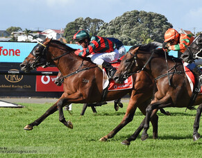 Sydney beckons New Zealand Derby winner Rocket Spade