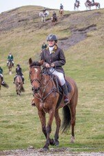 Meet The Team - Sarah Swinburne